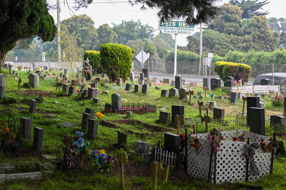 El cementerio de mascotas en Colma (Photo by Tayfun Coskun/Anadolu Agency via Getty Images)