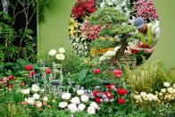 <p>There are over 500 exhibitors from all around the world including Show Gardens, Artisan Gardens and Space to Grow Gardens. There's also almost 100 exhibits in the Great Pavilion, predominantly from nurseries and florists, and over 250 shopping stands.</p>