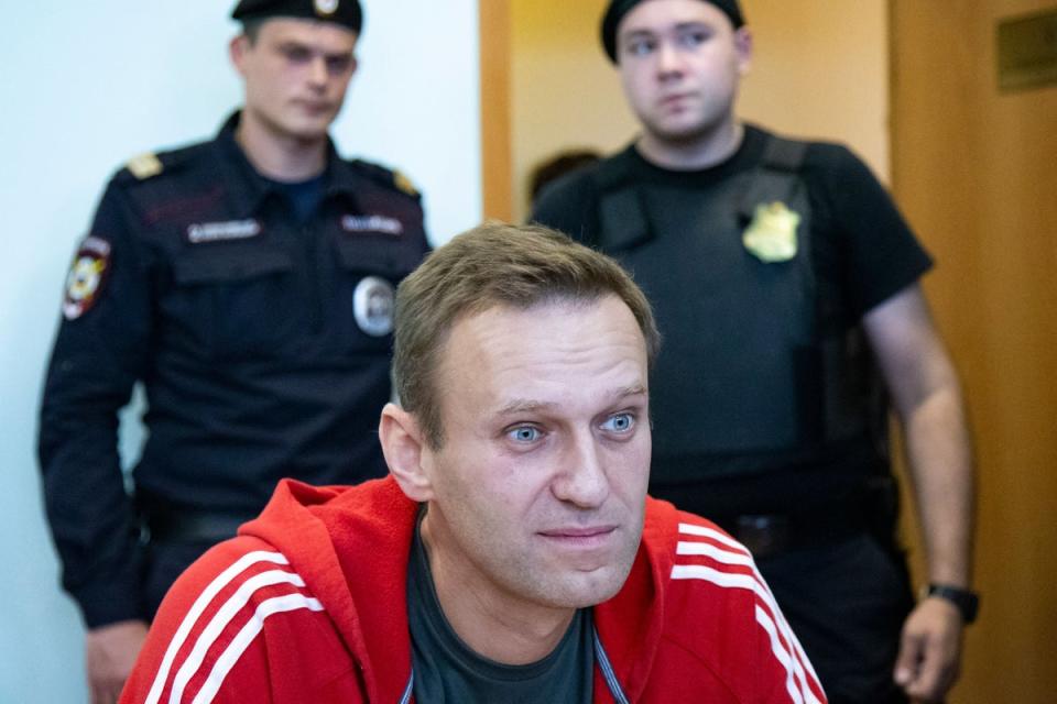 Alexei Navalny was a fierce critic of Vladimir Putin (AP)