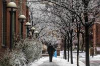 A man walks past trees with frozen branches during an ice storm in Toronto, December 22, 2013. REUTERS/Mark Blinch (CANADA - Tags: ENVIRONMENT SOCIETY)