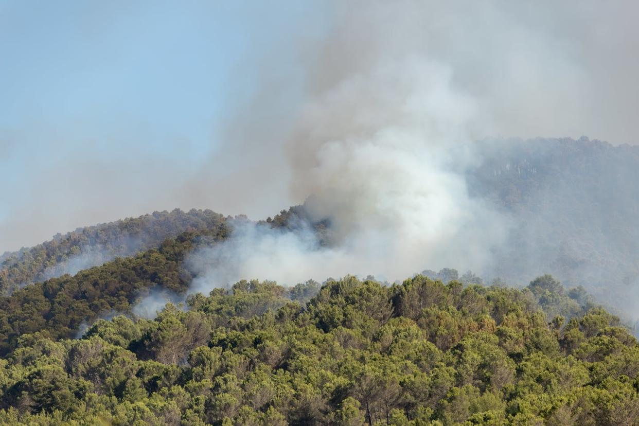 <span class="caption">Incendio en Navarra en junio de 2022.</span> <span class="attribution"><a class="link " href="https://www.shutterstock.com/es/image-photo/large-column-smoke-fire-advancing-towards-2169508355" rel="nofollow noopener" target="_blank" data-ylk="slk:JMGarcestock / Shutterstock;elm:context_link;itc:0;sec:content-canvas">JMGarcestock / Shutterstock</a></span>