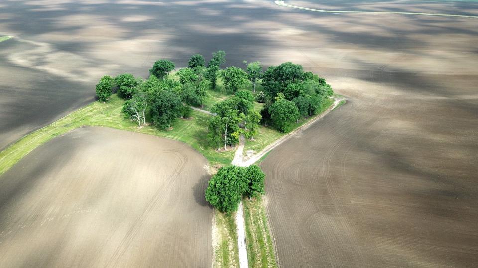 This tree-lined driveway, off of State Route 38, is part of the Madison County farmland owned by Microsoft cofounder Bill Gates that might become part of a solar farm. The actual owner of the farm is a company called Midwest Farms, owner of about 6,300 acres of farmland in Union, Deer Creek, Monroe and Somerford townships.