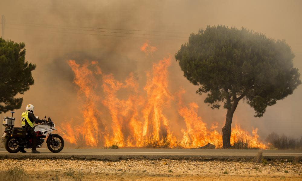 <span>Photograph: Alberto Diaz/AP</span>