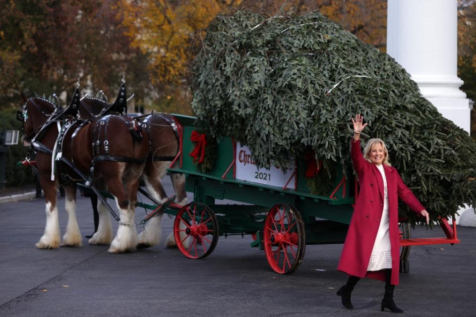 First lady Jill Biden waves after she receives the official White House Christmas Tree on the North Portico of the White House on 22 November 2021 (Getty Images)