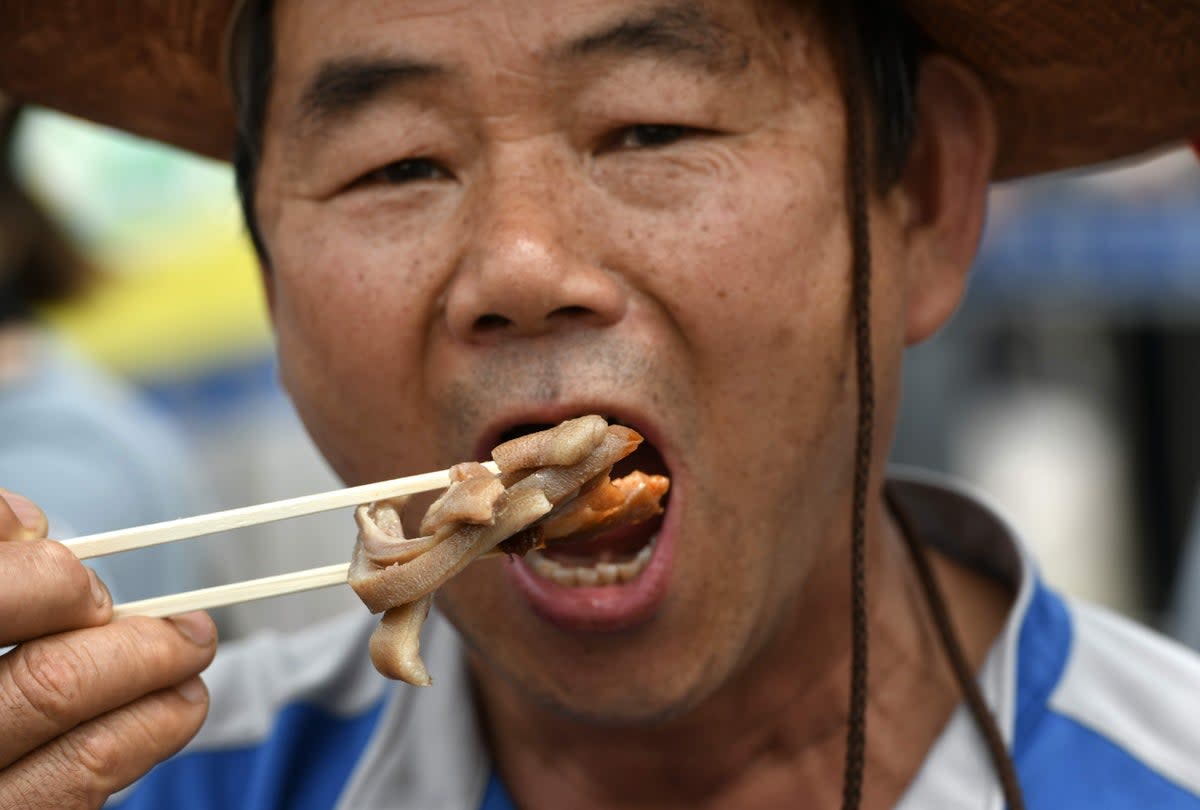 File: A South Korean dog farmer eats dog meat during a counter-rally against animal rights activists demonstrating against the meat’s trade in 2019 (AFP/Getty Images)