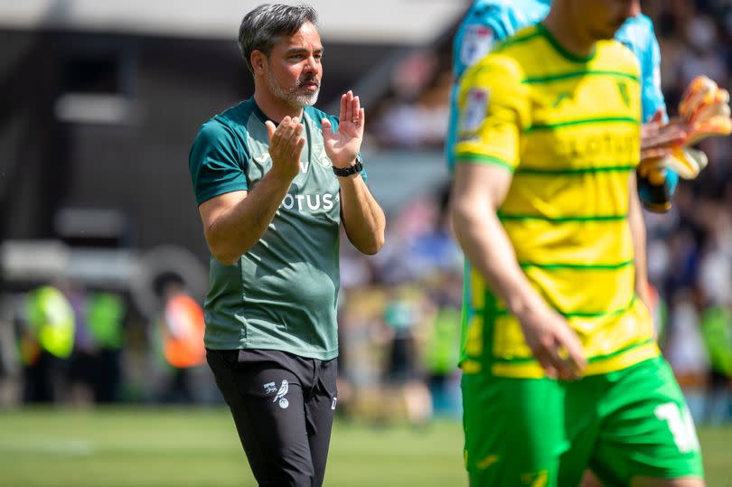 David Wagner remains bullish about Norwich City's game plan for Leeds United -Credit:MI News/NurPhoto via Getty Images