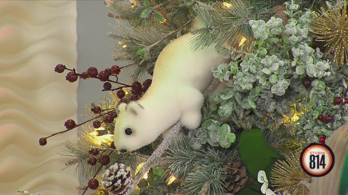 Squirrel in Christmas tree WTAJ Studio 814