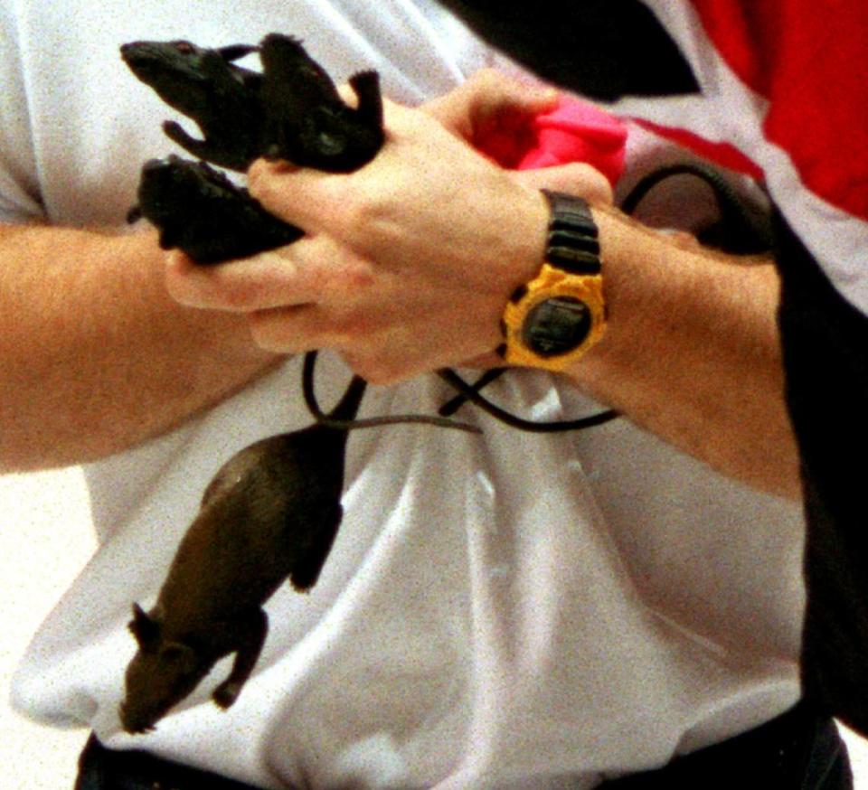 Plastic rats are carried off the ice after a Florida Panthers goal against Chicago on Oct. 17, 1995. After Scott Mellanby killed a rat in the Panthers locker room on opening night, fans have begun a new tradition - throwing rats onto the ice after each Panthers goal.