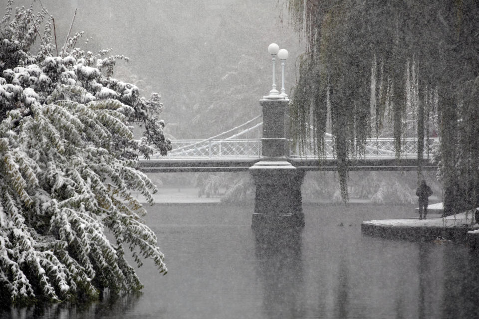 Snow falls on the Public Garden, Friday, Oct. 30, 2020, in Boston. (AP Photo/Michael Dwyer)