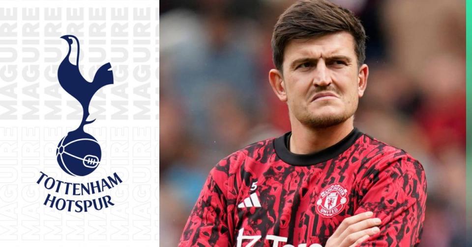 Tottenham linked Manchester United defender Harry Maguire Credit: Alamy