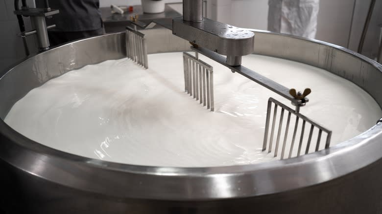 pasteurizing milk in vat