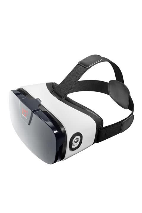 Virtual Reality Goggles