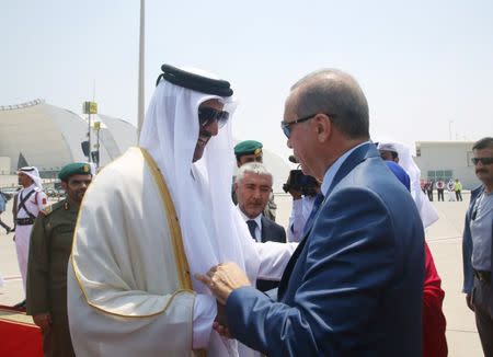 Turkish President Tayyip Erdogan is welcomed by Emir of Qatar Sheikh Tamim Bin Hamad Al-Thani in Doha, Qatar, July 24, 2017. Kayhan Ozer/Presidential Palace (Turkey)/Handout via REUTERS