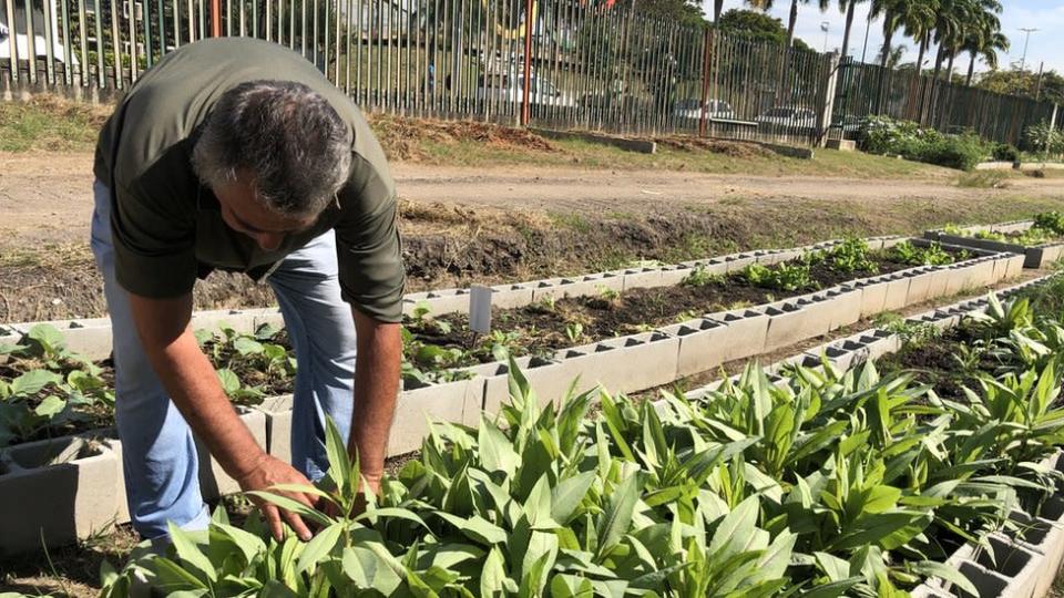 Homem verificando plantas no jardim urbano