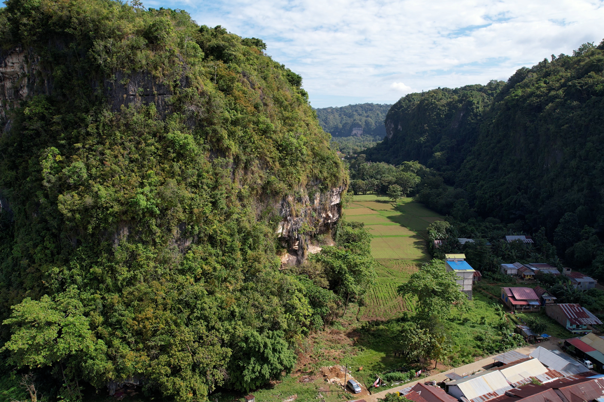 The forested rock face at Leang Karampuang in the Maros-Pangkep region of South Sulawesi.