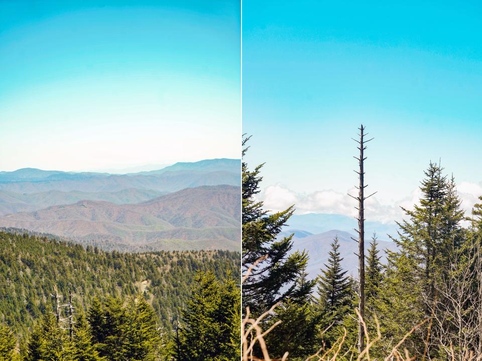 Tops of Evergreen trees in the Great Smoky mountains in the foreground with mountains and cloudy skies in the background