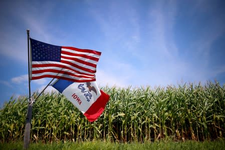 FILE PHOTO: File photo of a U.S. and Iowa state flag are seen next to a corn field in Grand Mound