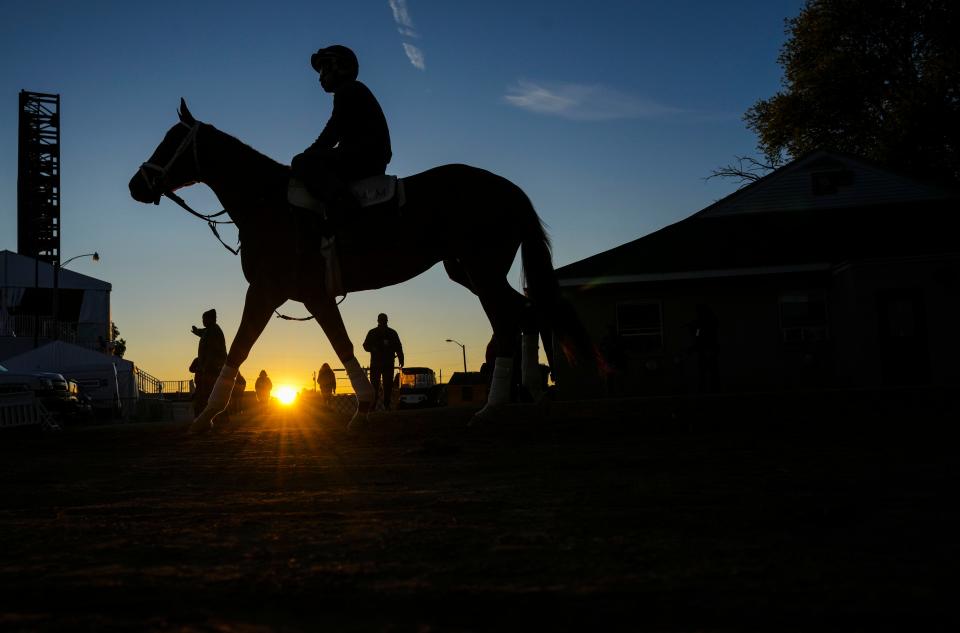 A horses walks towards the track on the backside Wednesday morning at Churchill Downs May 3, 2023, in Louisville, Ky.