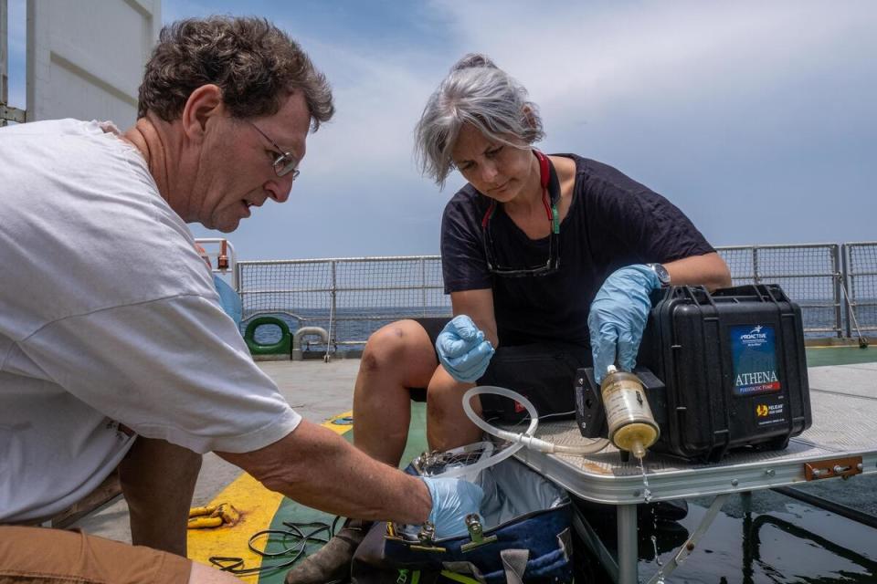 船艦上的科學家於薩耶．迪．馬尼亞沙洲採集海水樣本，透過蒐集環境DNA調查此處的生態現況。