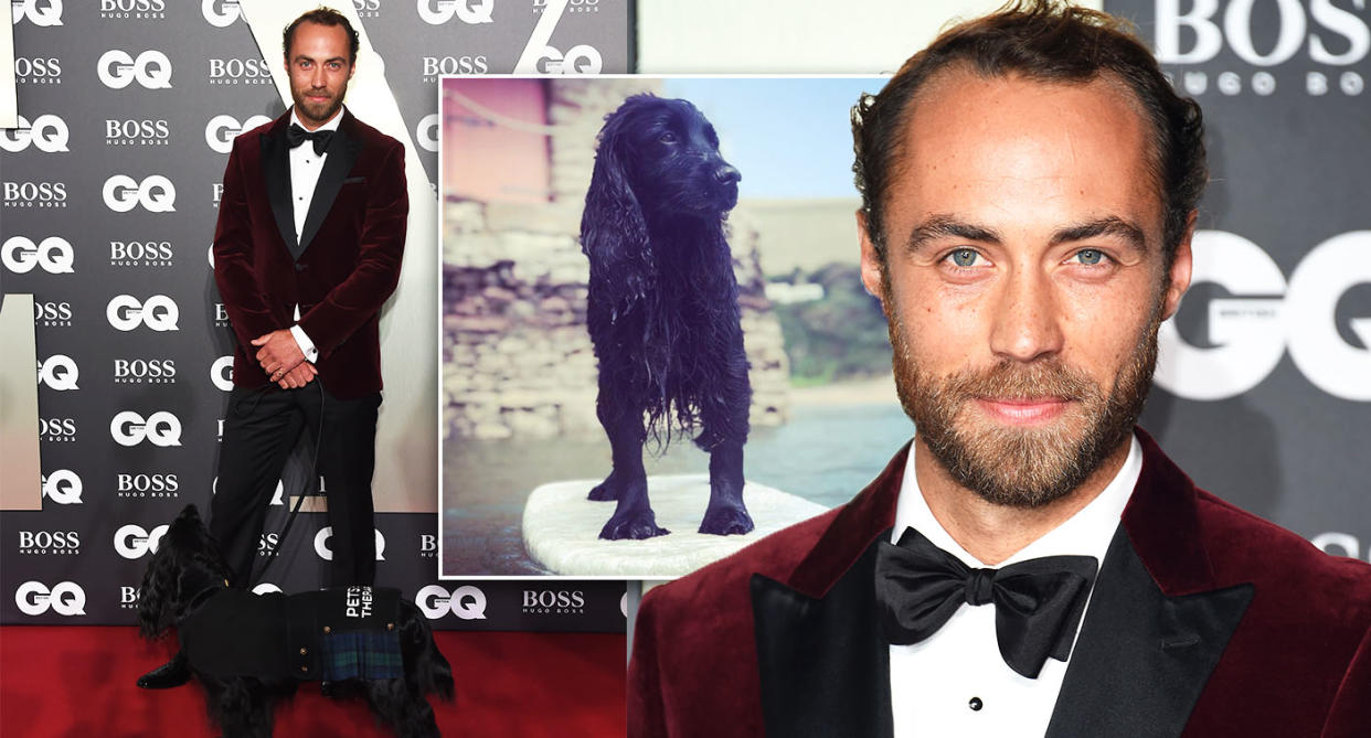 James Middleton took his therapy dog Ella to the GQ Awards. [Photo: Getty/PA]