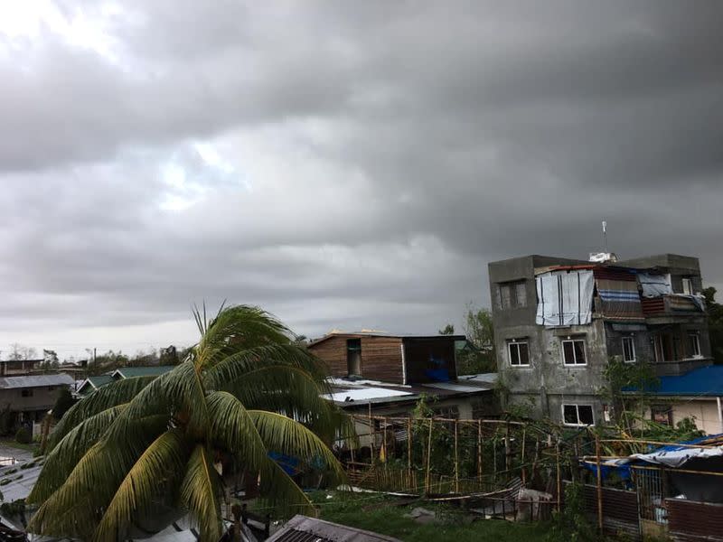 Fallen trees and buildings are seen after Typhoon Phanfone swept through Tanauan, Leyte, in the Philippines