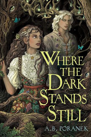 <p>Amazon</p> Where the Dark Stands Still by A. B. Poranek