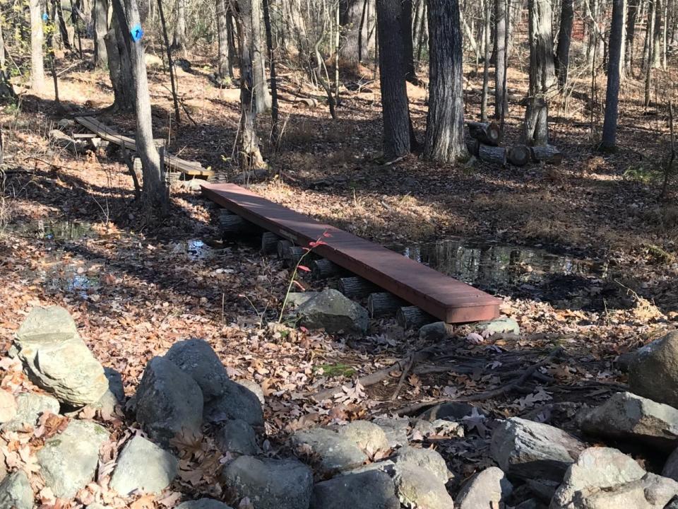 Wooden bridges have been built over wetlands and bogs in the preserve.