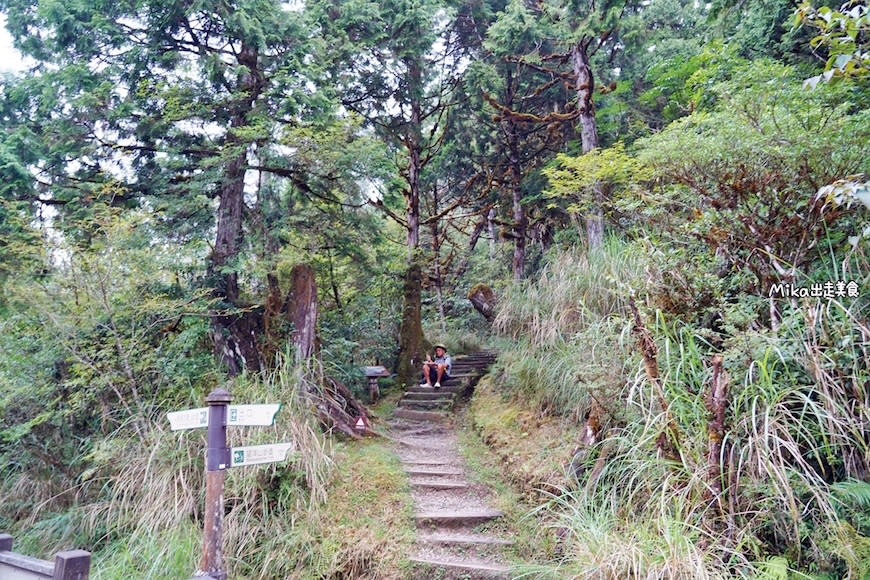 宜蘭｜太平山翠峰湖環山步道