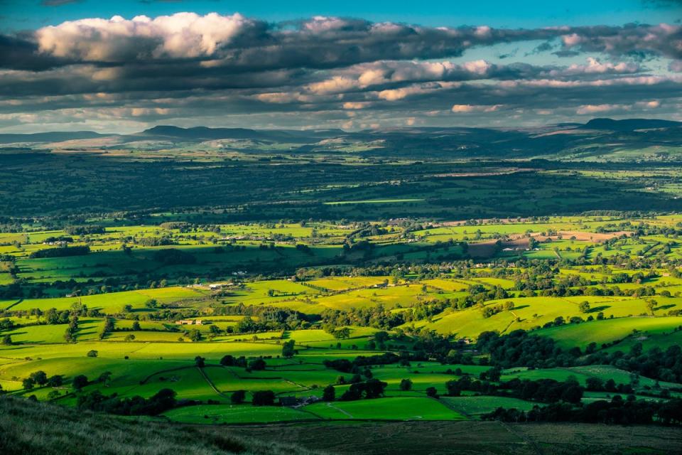 Green and pleasant land: the view from Pendle Hill (Getty/iStock)