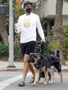 <p>Zachary Quinto takes his dogs for a walk in the park on Wednesday in L.A.</p>