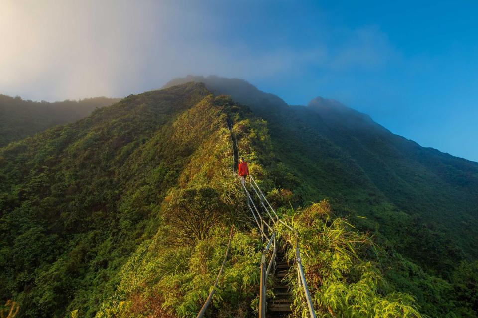 <p>These steep stairs, referred to as the “Stairway to Heaven,” are on the island of Oahu in Hawaii. Running along the Ko‘olau Mountain Range, it spans a total of 3,922 steps. While it’s technically closed to the public with “No Trespassing” signs, it seems that many people climb on them anyway for this once-in-a-lifetime excursion. </p>