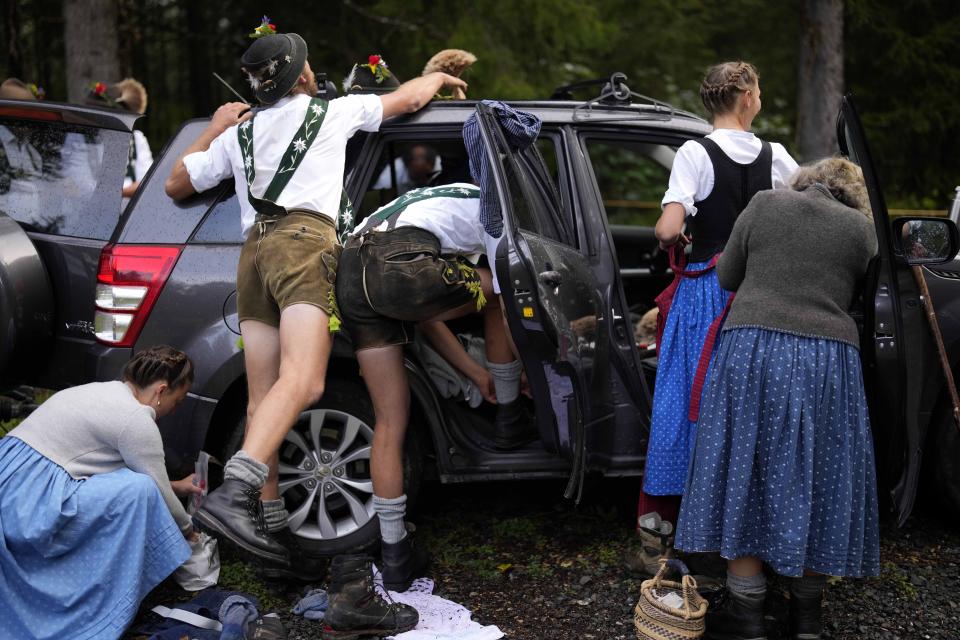 Bavarian herdsmen dress during the return of their cattle from summer pastures in the mountains near Oberstdorf, Germany, Wednesday, Sept. 13, 2023. In autumn, herds fed on alpine pastures in the mountains during summer are led down to the valley where they spend the winter. (AP Photo/Matthias Schrader)