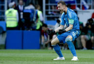 <p>Igor Akinfeev celebrates after sending Russia into the quarter finals against either Croatia or Denmark </p>