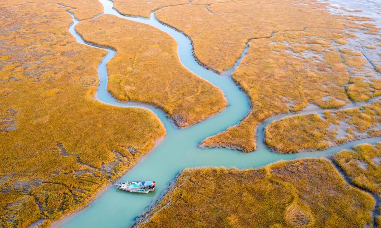 <span>A fishing boat navigates the Yellow River estuary, in Shandong province, China.</span><span>Photograph: Sean Gallagher/The Guardian</span>