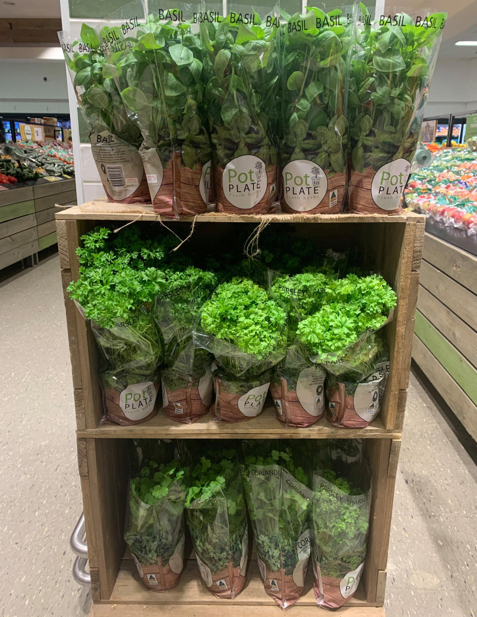 Herbs in pots