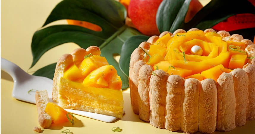 夏洛特是法國傳統甜點，「初夏芒果夏洛特」內餡以兩層戚風蛋糕包夾芒果柳橙慕斯，並用義大利知名利口酒金巴利增香。（780元／6吋，圖／mon  gâteau夢卡朵提供）