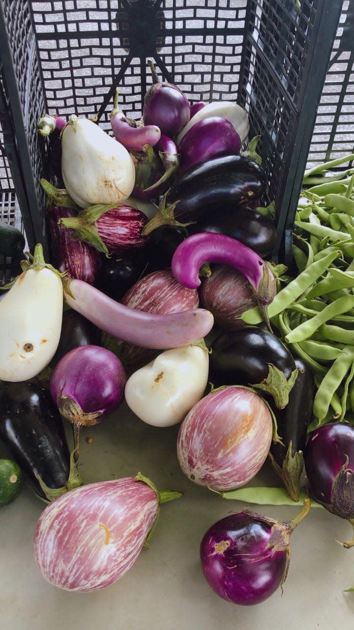 A selection of eggplants available at the Staunton Farmers' Market.