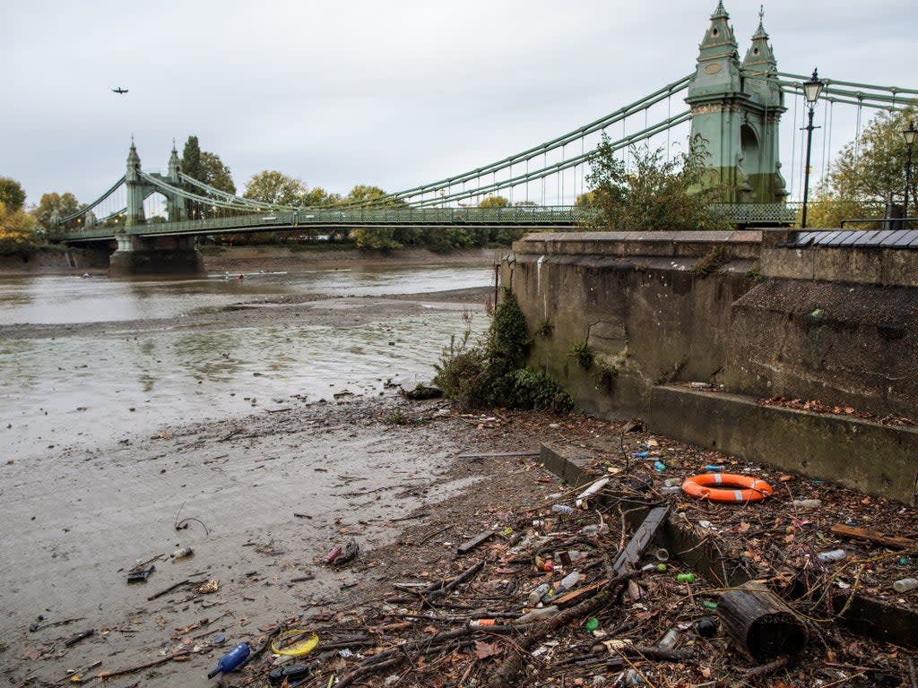 A new report says many rivers in England have a ‘chemical cocktail’ of pollution (Getty Images)