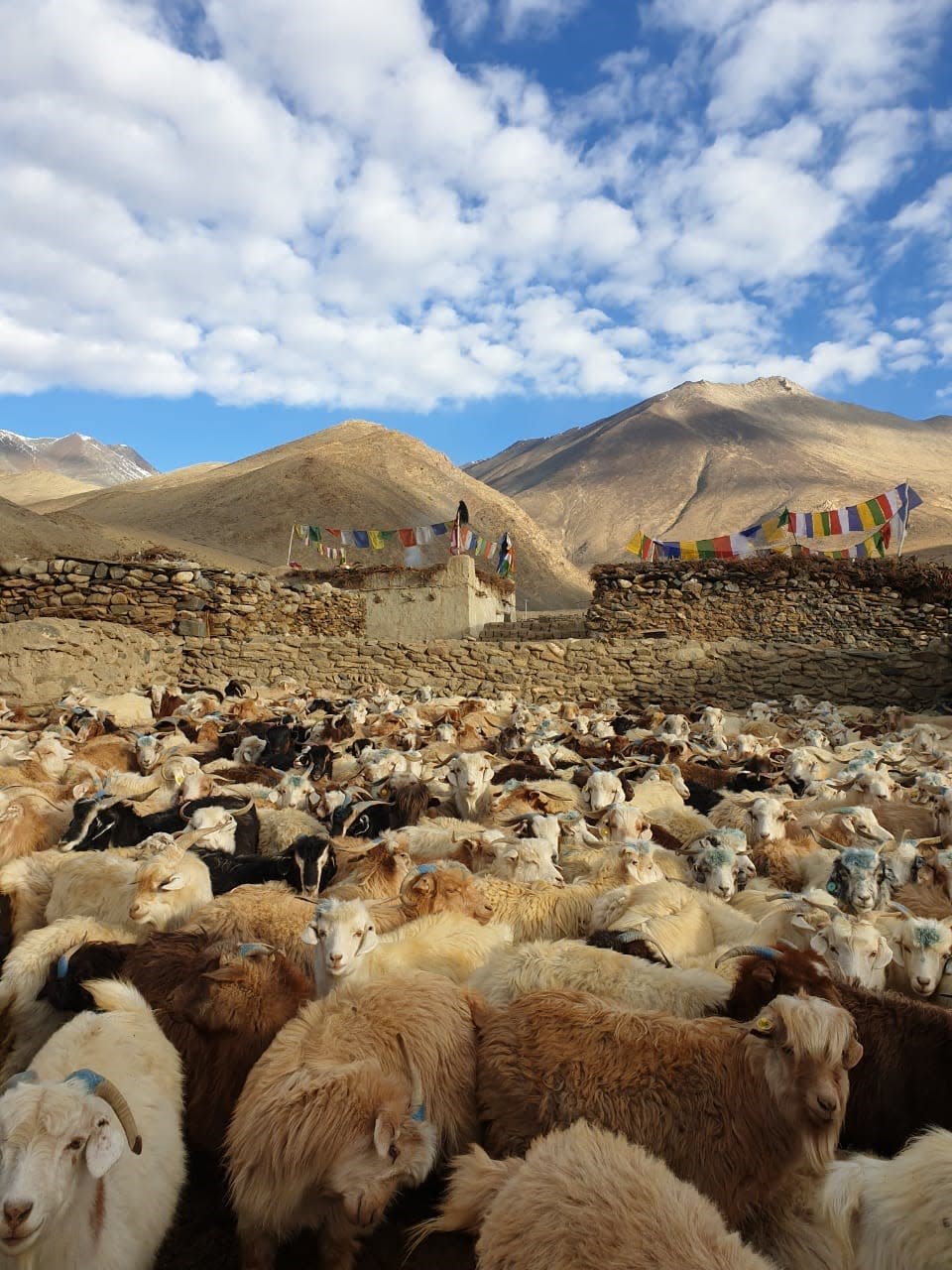 An image from a new Himalayas project, backed by the king.