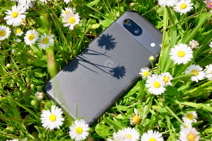 The Google Pixel 8a surrounded by daisies on a lawn.