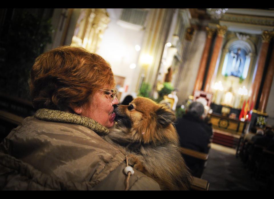 A woman kisses her dog at the Church of San Anton in Madrid on Saint Anthony's Day, Jan.17, 2012. Dogs, cats, rabbits and even turtles, many dressed in their finest, trooped into churches across Spain in search of blessing on Saint Anthony's Day, for the patron saint of animals. (Pedro Armestre, AFP / Getty Images)