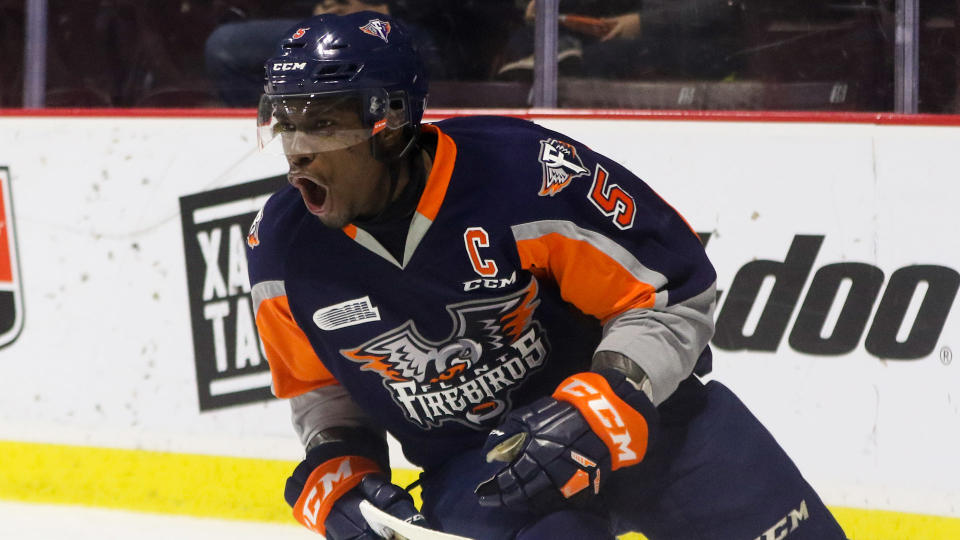 Jalen Smereck, pictured as a member of the Flint Firebirds. (Photo by Dennis Pajot/Getty Images)