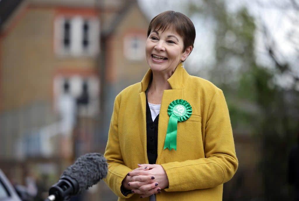 Caroline Lucas is a Green Party MP (Getty Images)