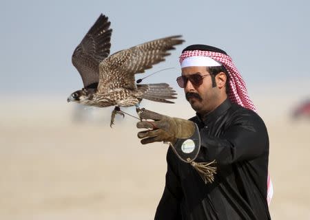 A Qatari man releases his falcon during a falcon contest at Qatar International Falcons and Hunting Festival at Sealine desert, Qatar January 29, 2016. REUTERS/Naseem Zeitoon