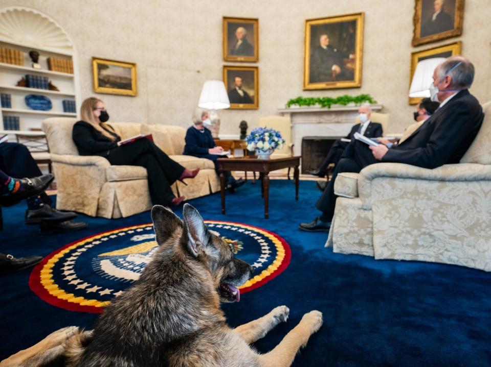 Champ in the Oval Office of the White House.