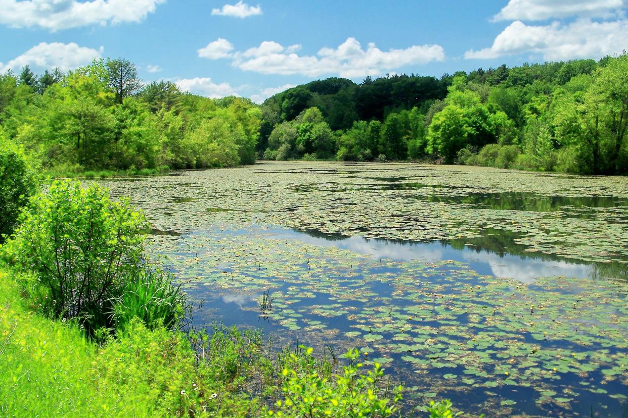 Ashuwillticook Rail Trail, Massachusetts