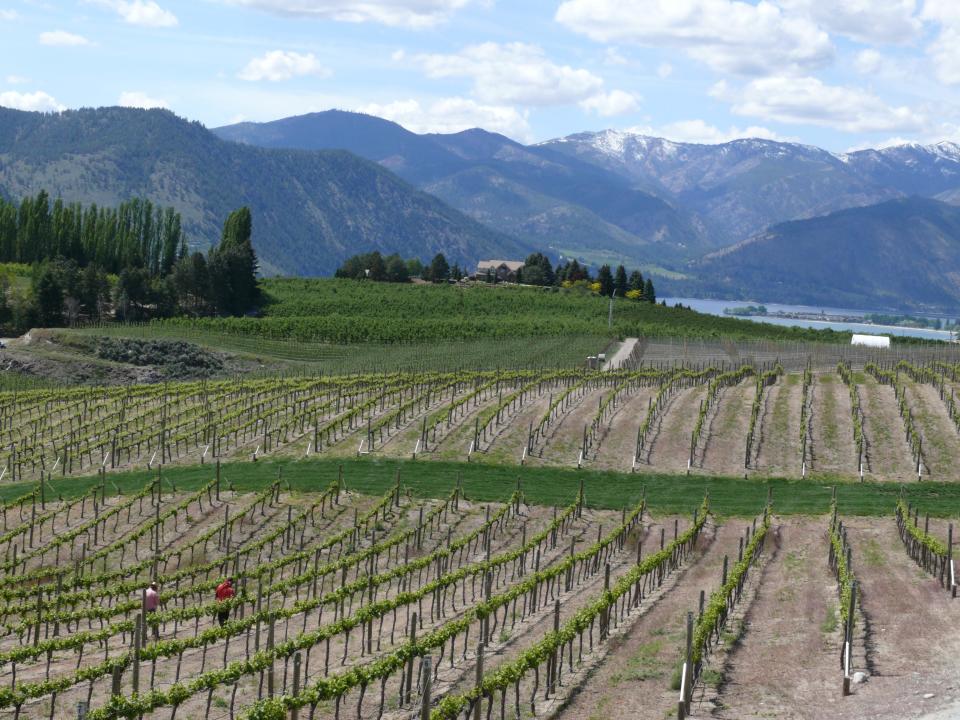 The view and the wine are both nice at Benson Vineyards in Chelan, Washington