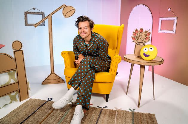 Harry Styles (Photo: BBC)