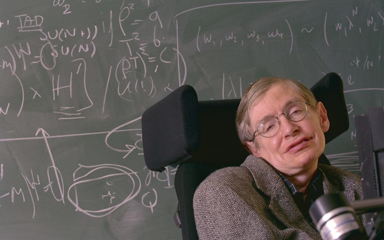 Professor Stephen Hawking died in March last year  - Martin Pope