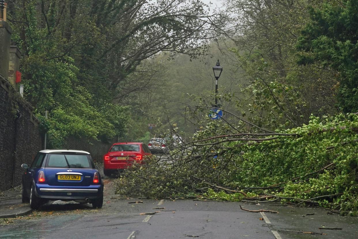 Cars pass a fallen tree in Dover, Kent, as Storm Ciaran brings high winds and heavy rain along the south coast of England (Gareth Fuller/PA) (PA Wire)